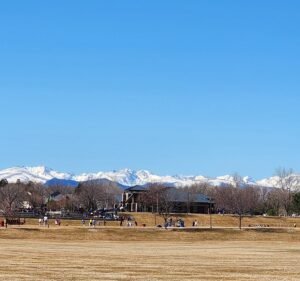 Soccer Field image 3