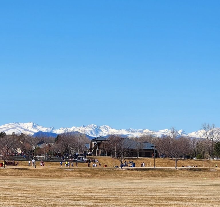 Soccer Field image 3