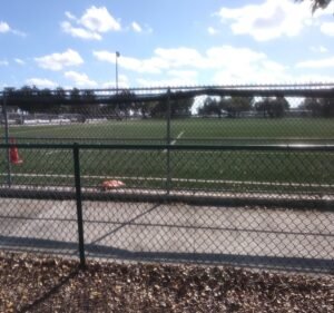 Soccer Field image 2