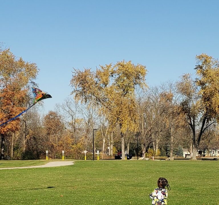 Soccer Field image 2