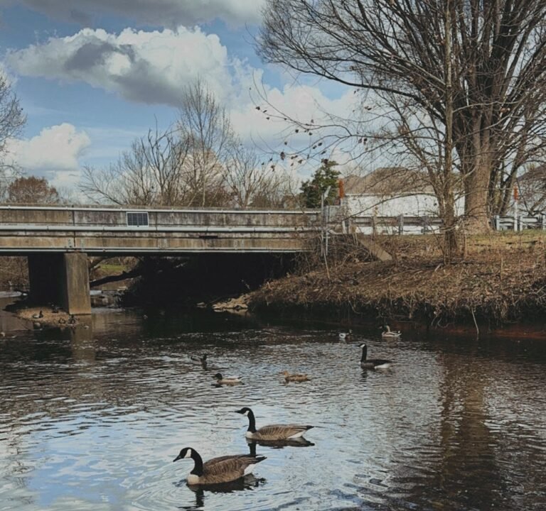 Soccer Field image 3