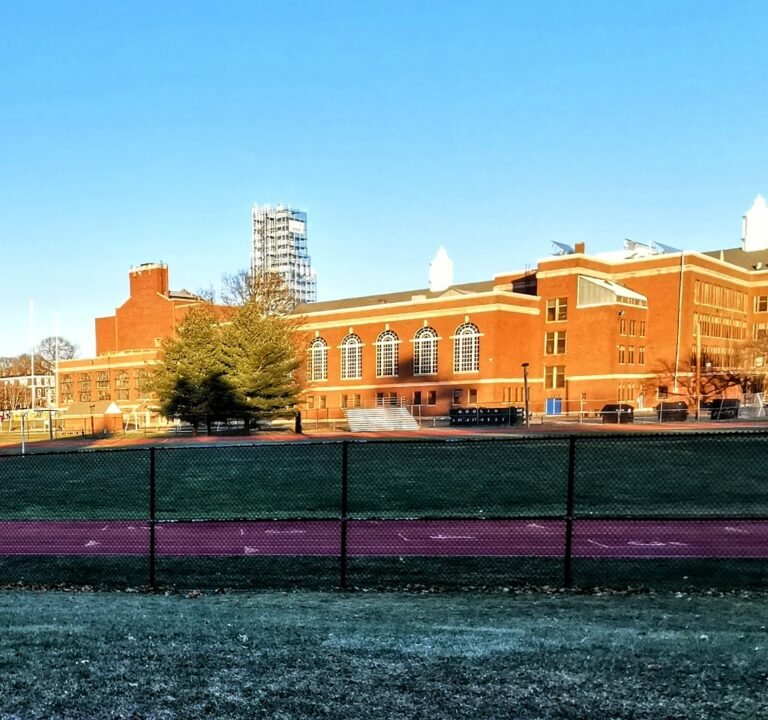 Soccer Field image 2