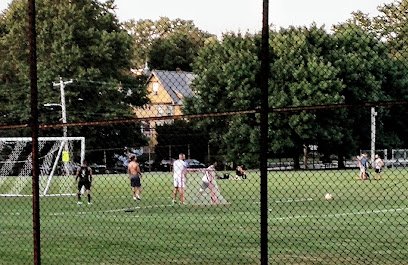 Soccer Field image 1