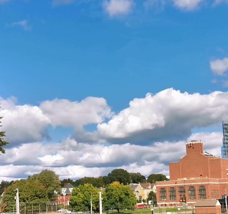 Soccer Field image 4