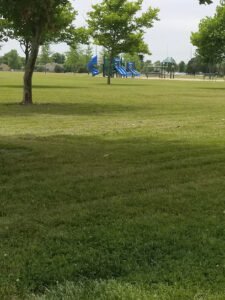 Soccer Field image 1