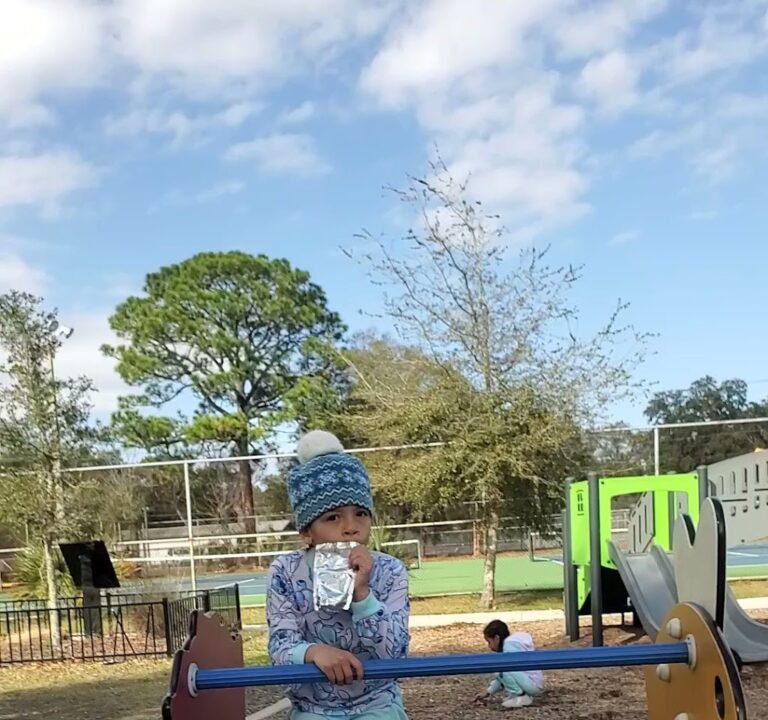 Soccer Field image 2