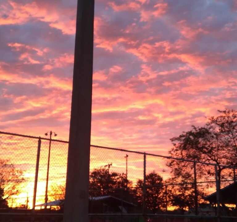 Soccer Field image 3