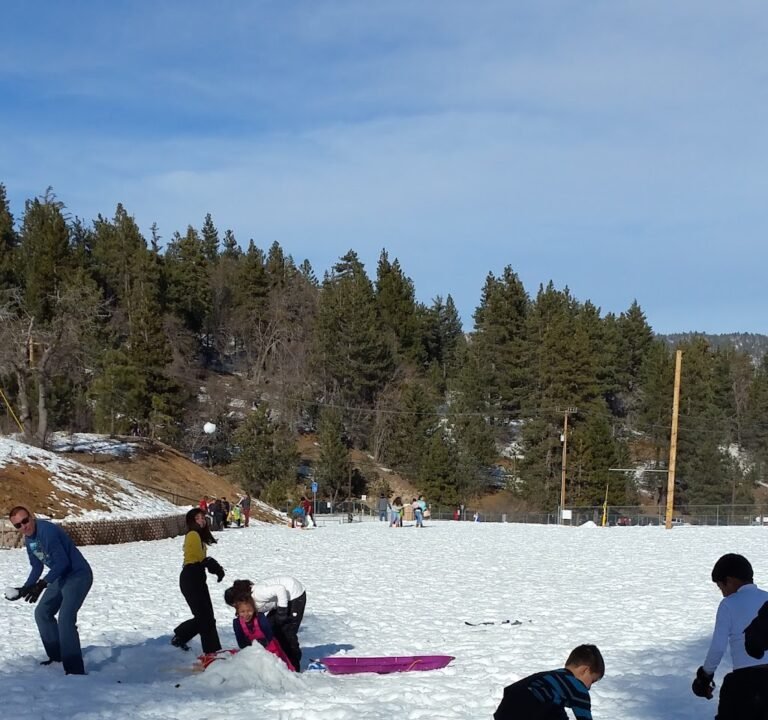 Soccer Field image 2
