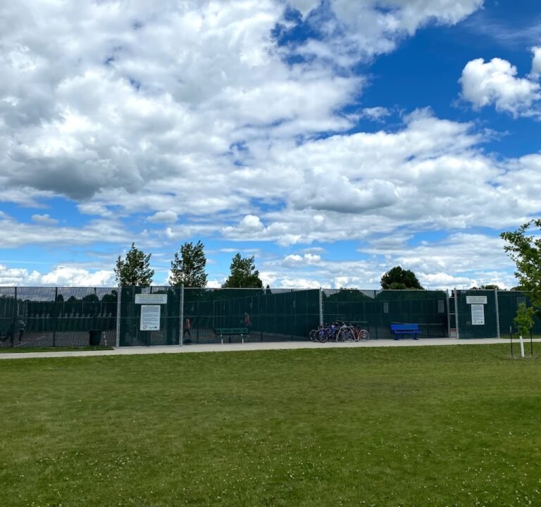 Soccer Field image 2