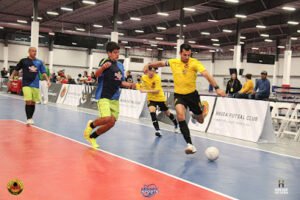 Soccer Field image 1