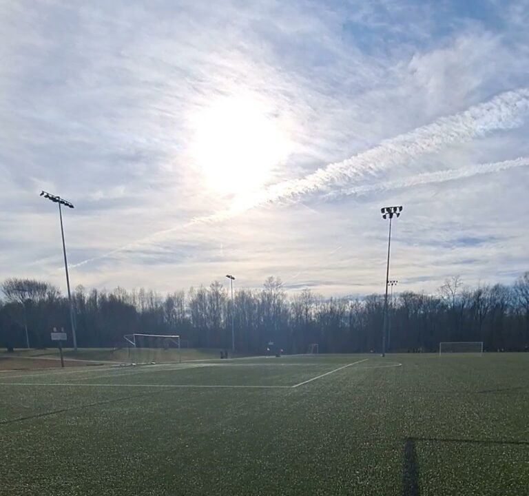 Soccer Field image 4