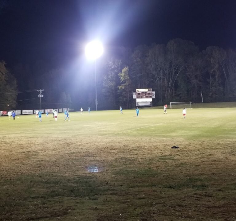 Soccer Field image 2