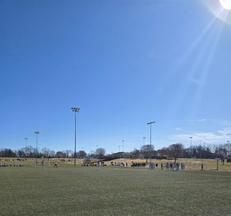 Soccer Field image 3