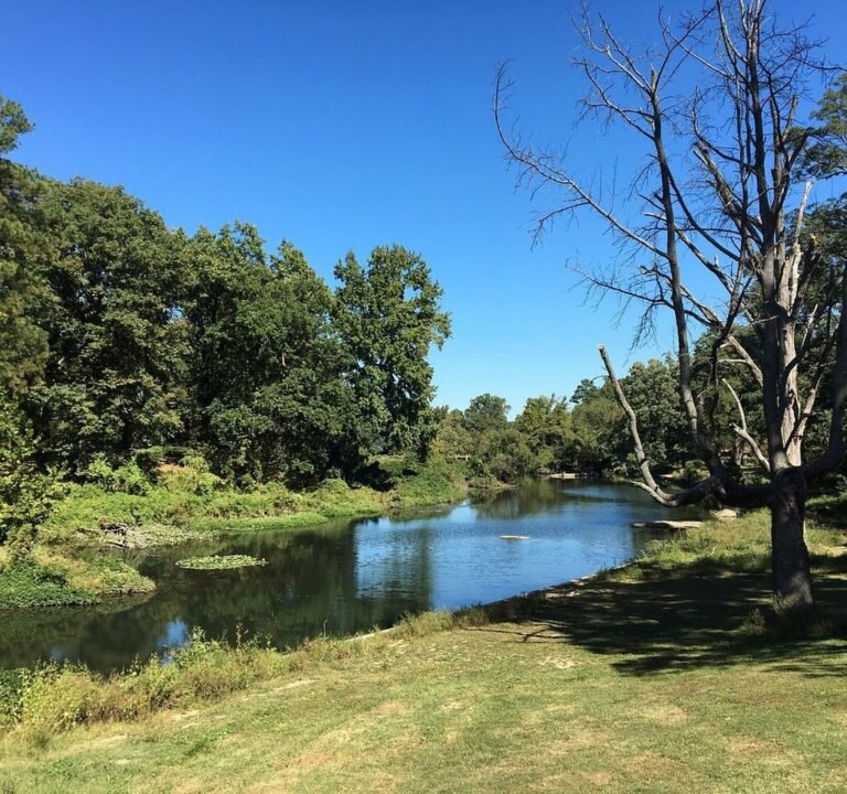Soccer Field image 2