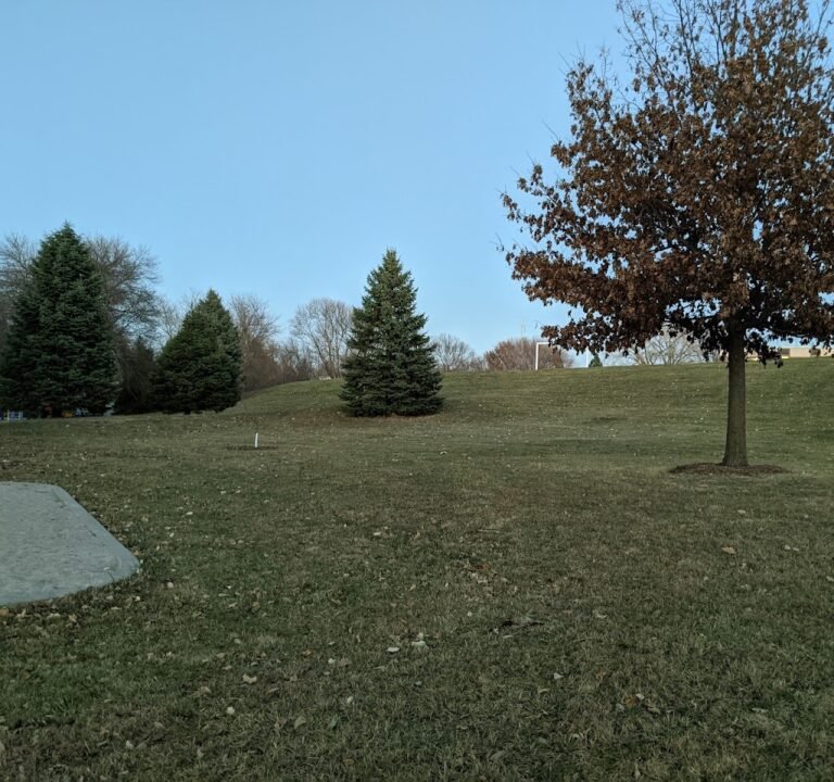 Soccer Field image 3