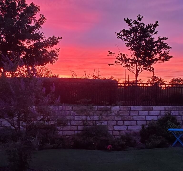 Soccer Field image 3