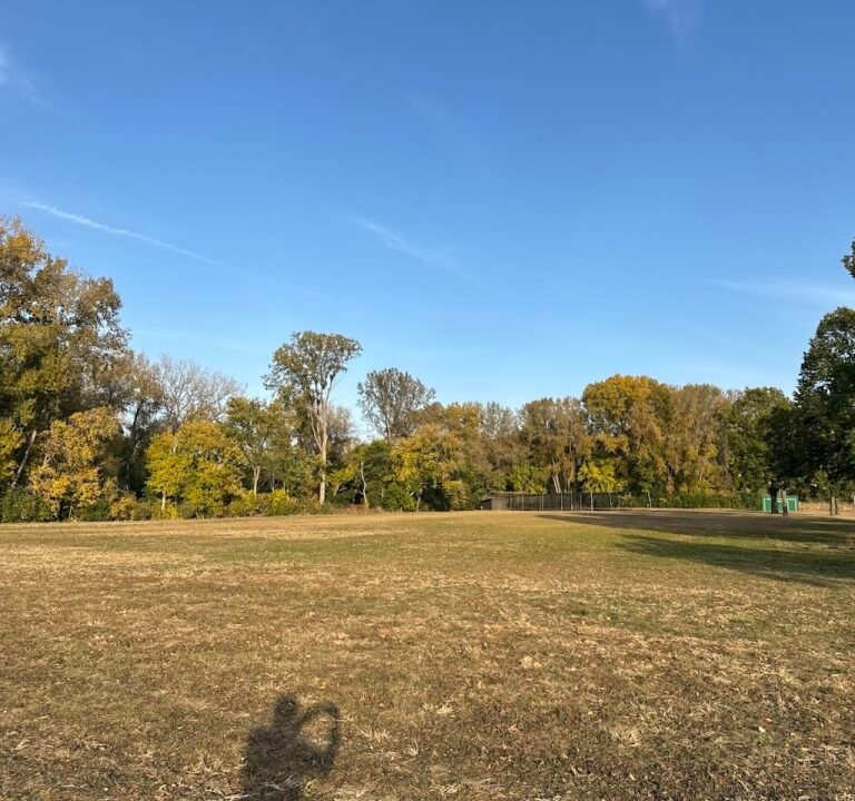Soccer Field image 2