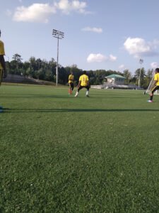 Soccer Field image 1