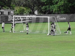 Soccer Field image 1
