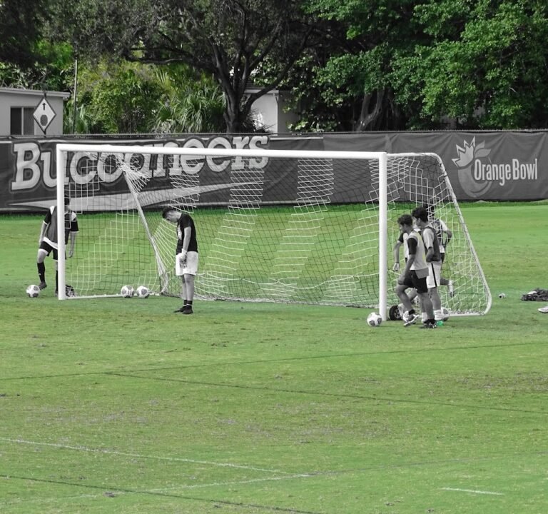 Soccer Field image 2