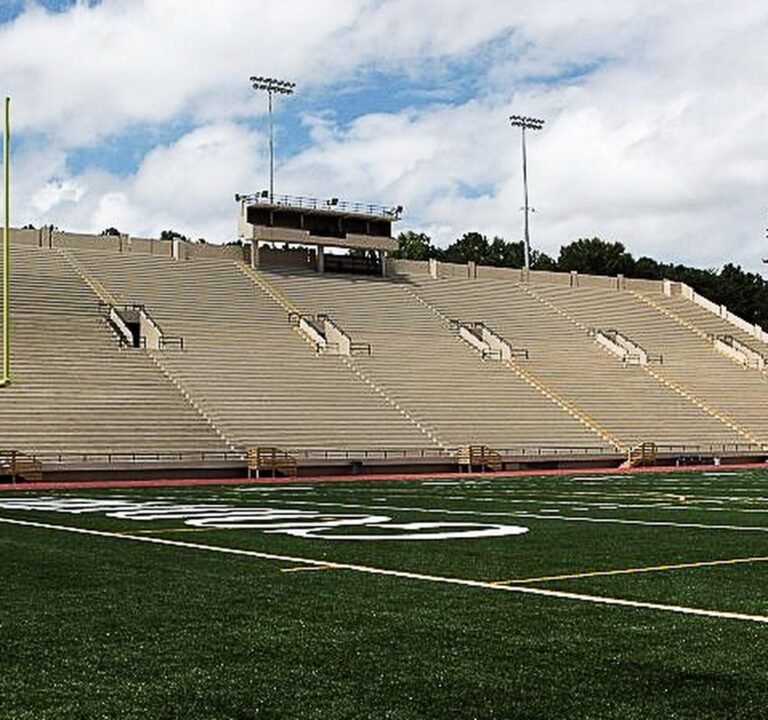 Soccer Field image 2