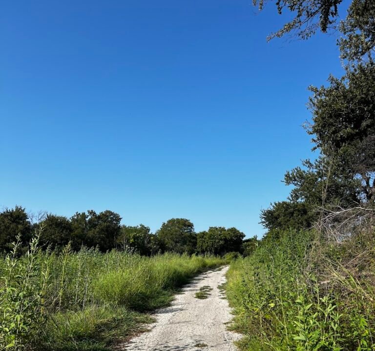 Soccer Field image 2