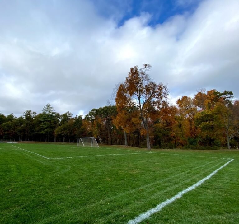 Soccer Field image 2