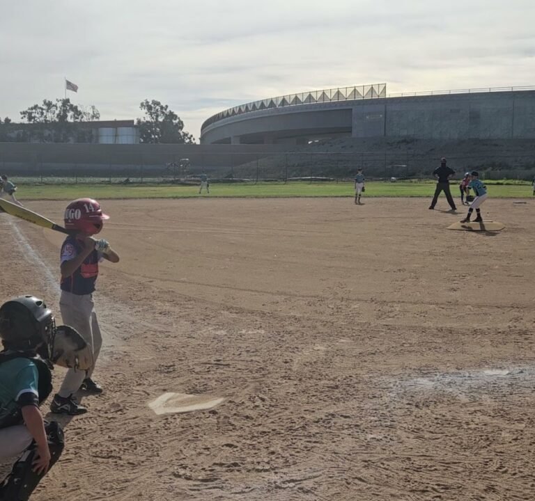 Soccer Field image 4
