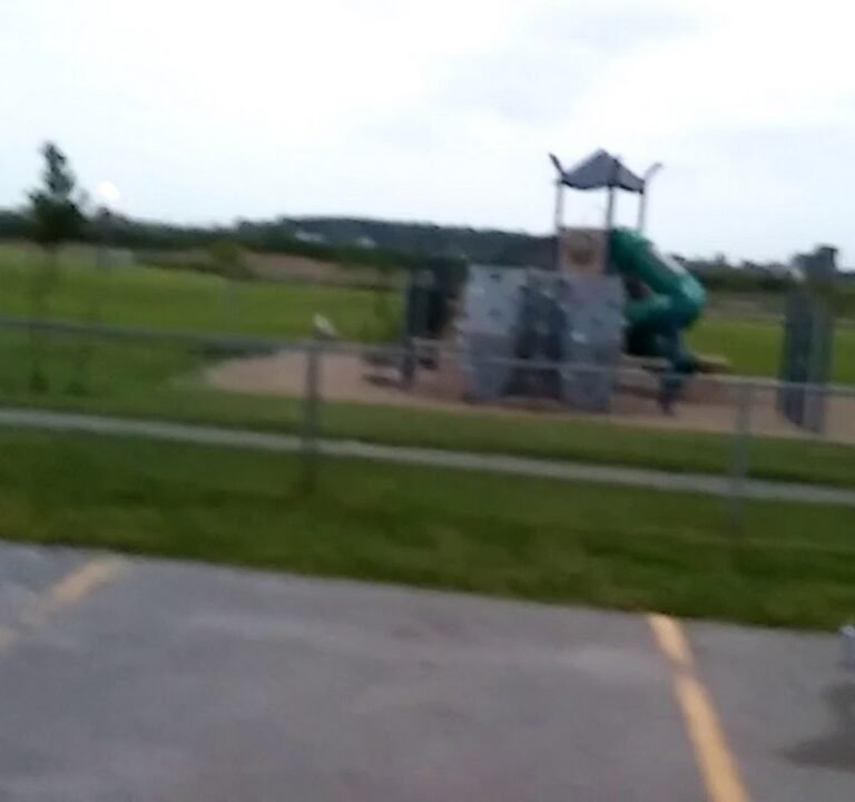 Soccer Field image 3