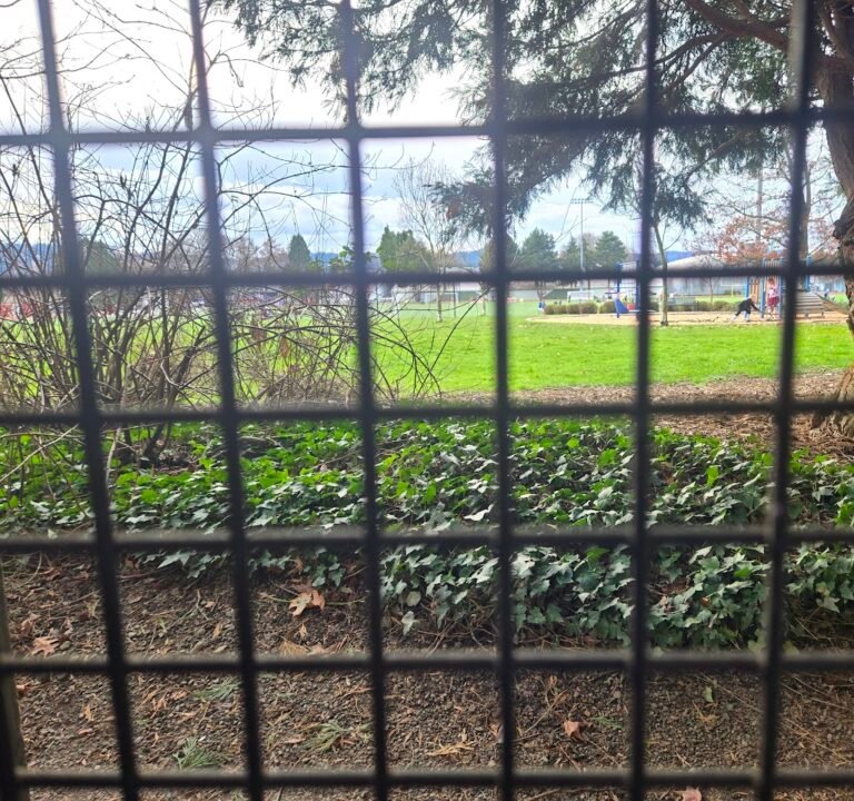 Soccer Field image 3