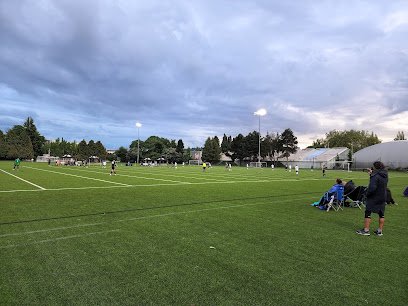 Soccer Field image 1