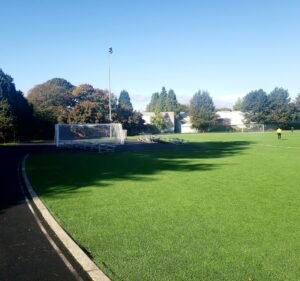 Soccer Field image 2