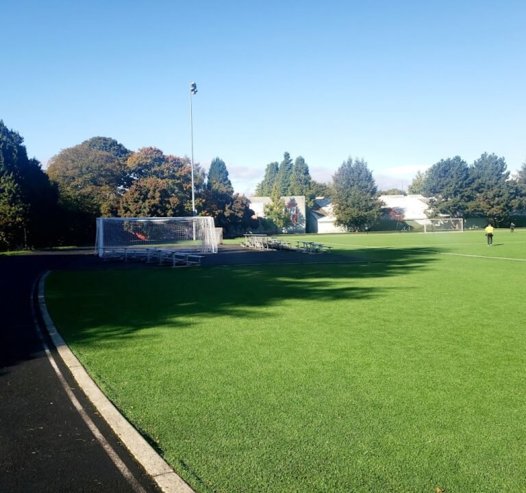 Soccer Field image 2