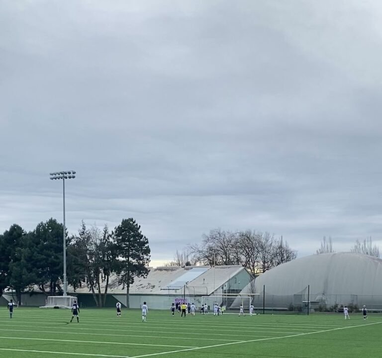 Soccer Field image 4