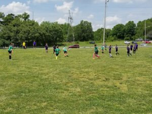 Soccer Field image 1