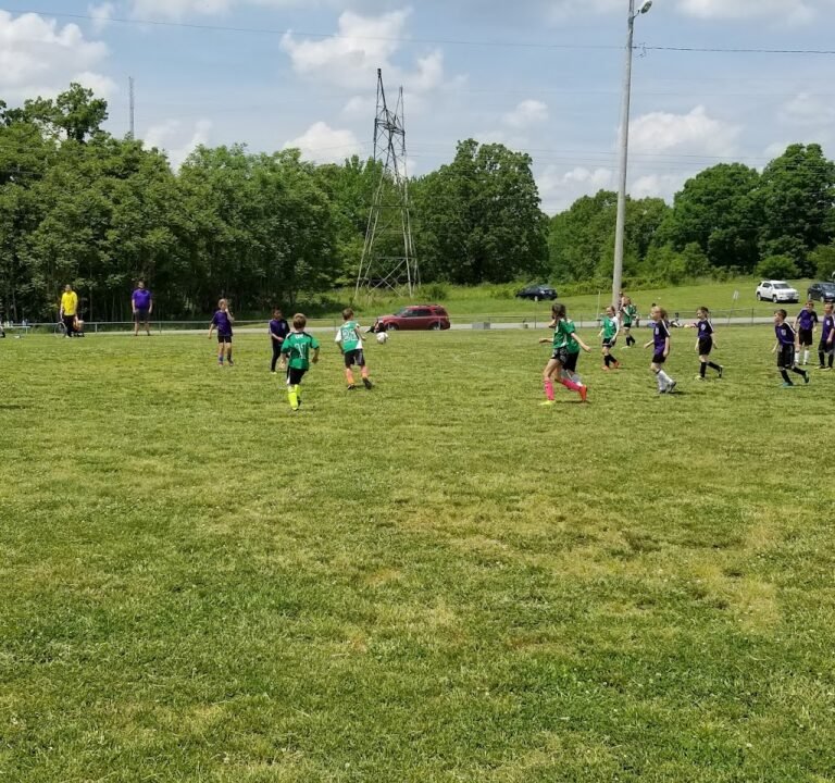 Soccer Field image 2