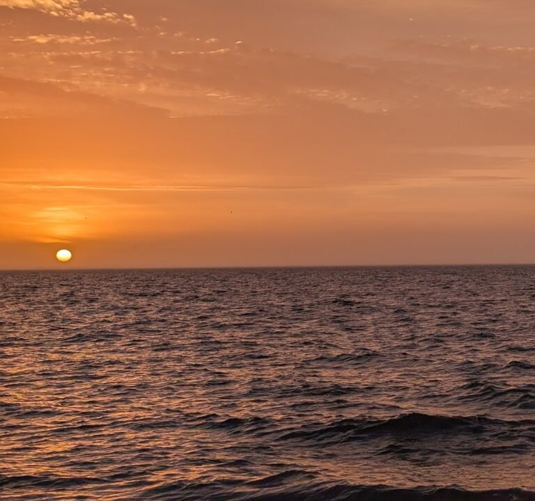 Soccer Field image 3