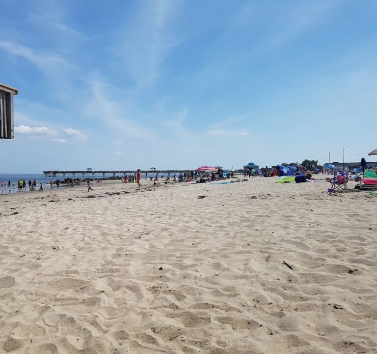 Soccer Field image 2