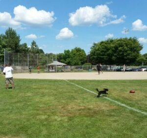 Soccer Field image 1