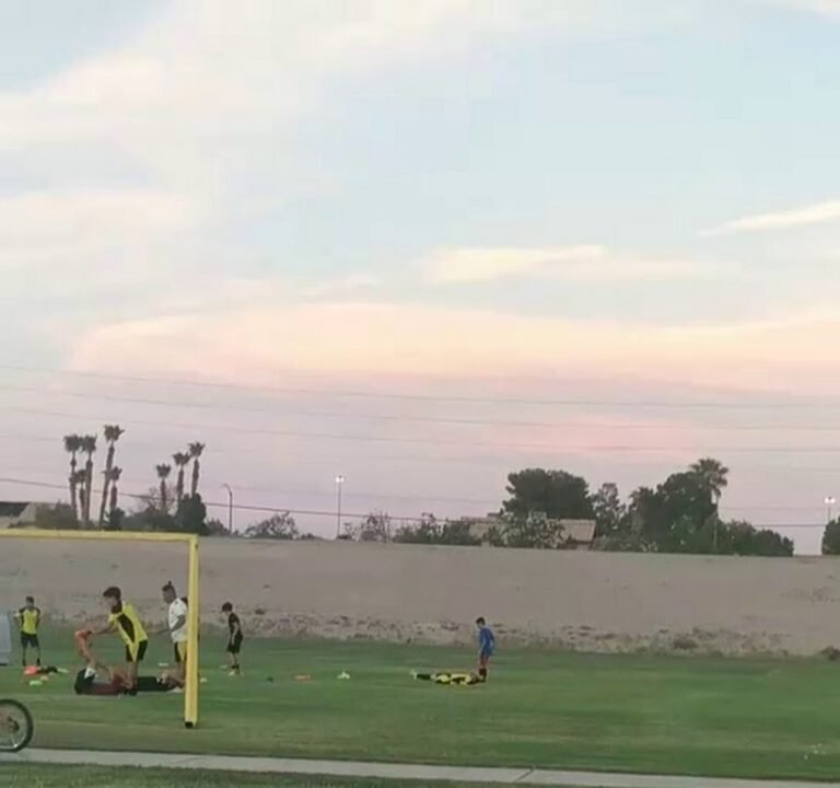 Soccer Field image 4