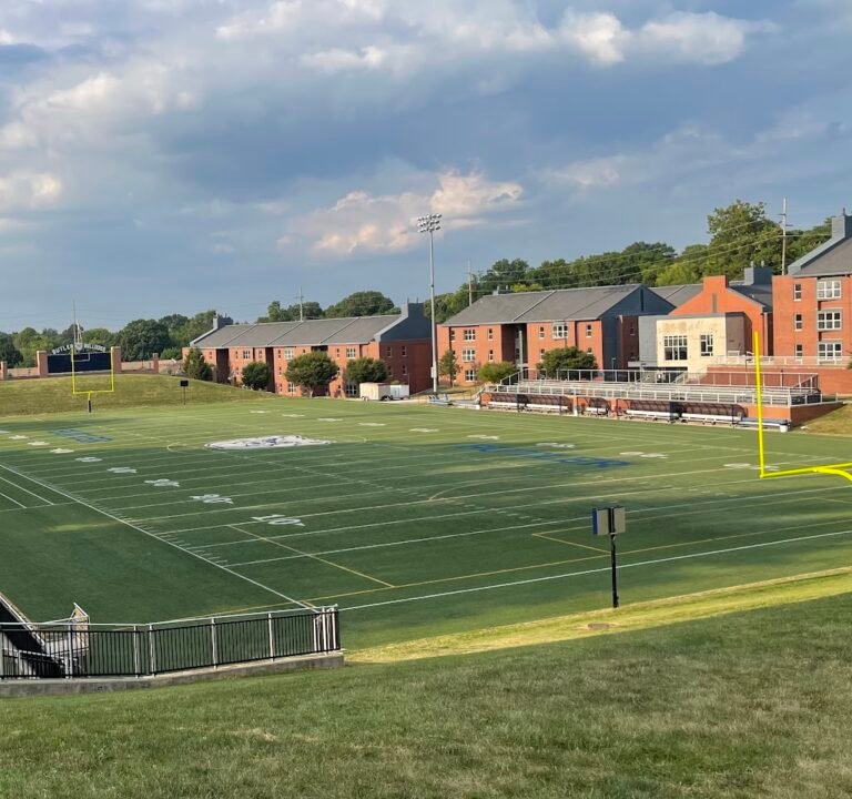 Soccer Field image 2