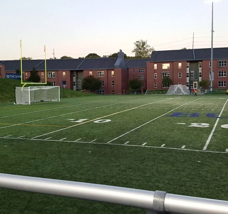 Soccer Field image 3