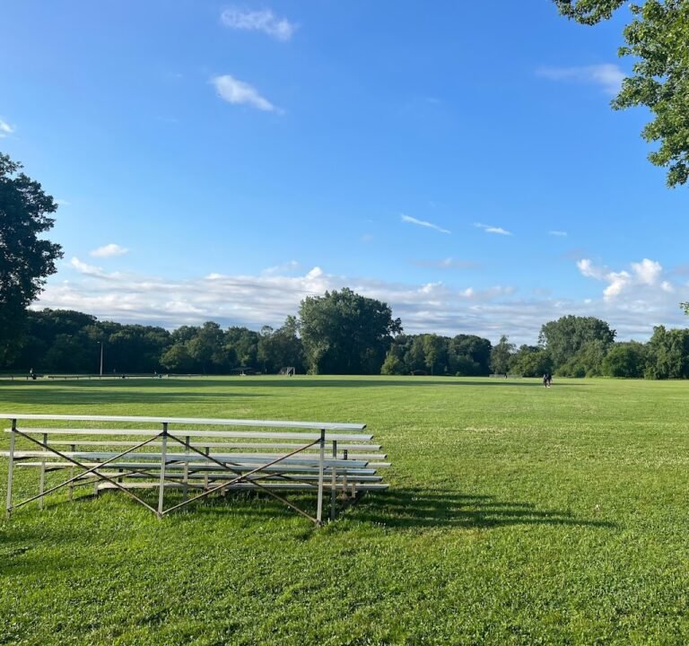 Soccer Field image 2