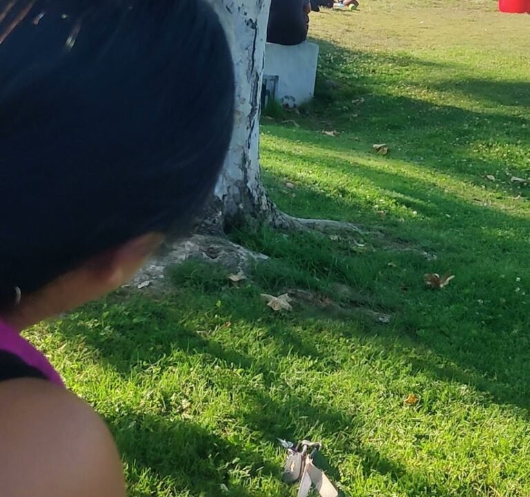 Soccer Field image 4