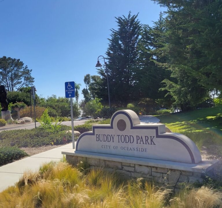 Soccer Field image 2