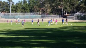 Soccer Field image 1