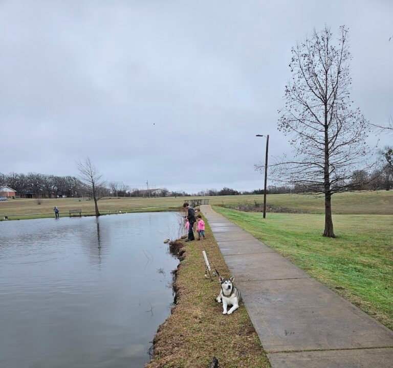 Soccer Field image 3