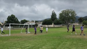 Soccer Field image 1