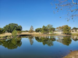 Soccer Field image 1