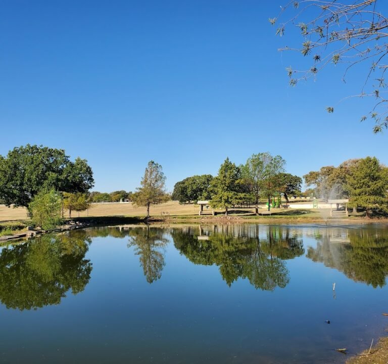 Soccer Field image 2